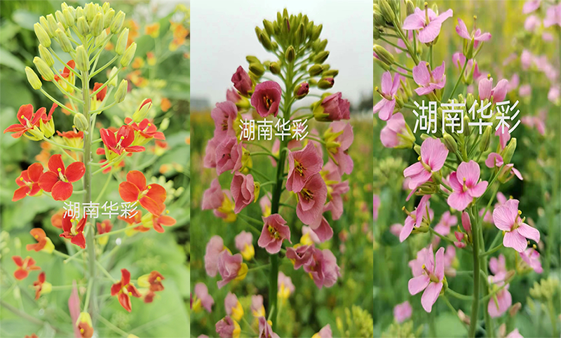 超生態(tài)的垂釣場(chǎng)所
