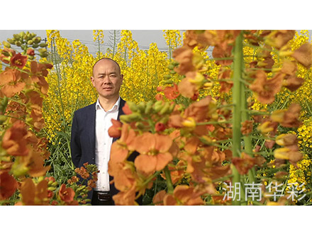 18年外放顏色