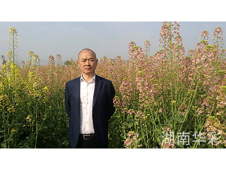 18年外放顏色