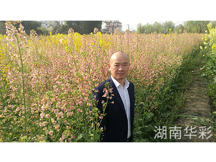 18年外放顏色 18年外放顏色