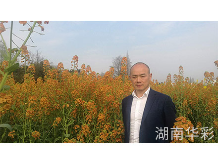 18年外放顏色