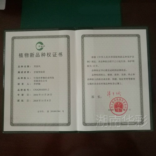 笑春風 植物新品種授權證書