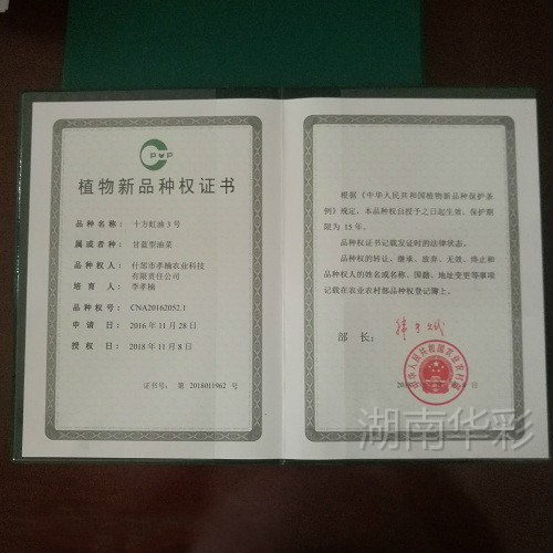 十方虹油3號 植物新品種授權證書