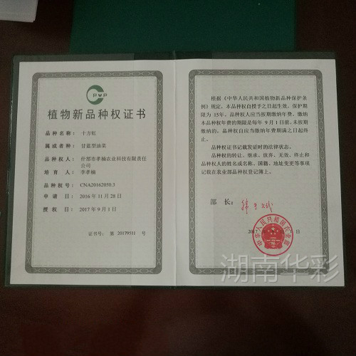 十方虹 植物新品種授權證書