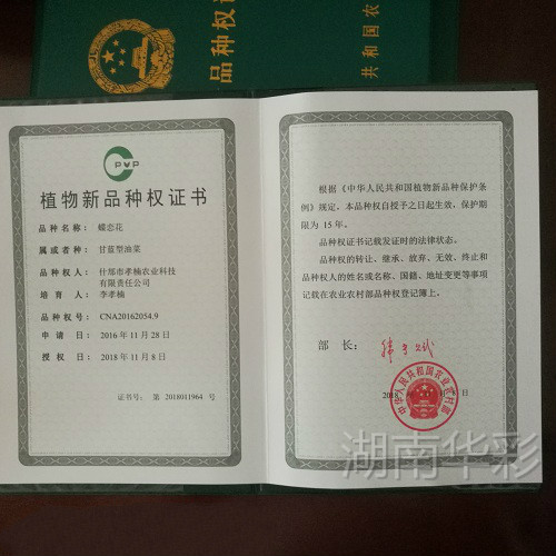 蝶戀花 植物新品種授權證書