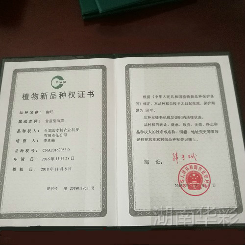 幽虹 植物新品種授權證書