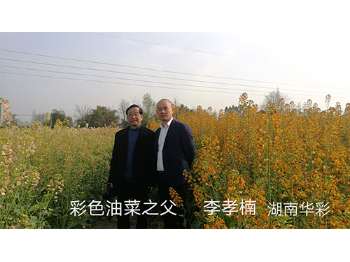 18年外放顏色