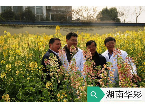 17年農業農村部現場審訂