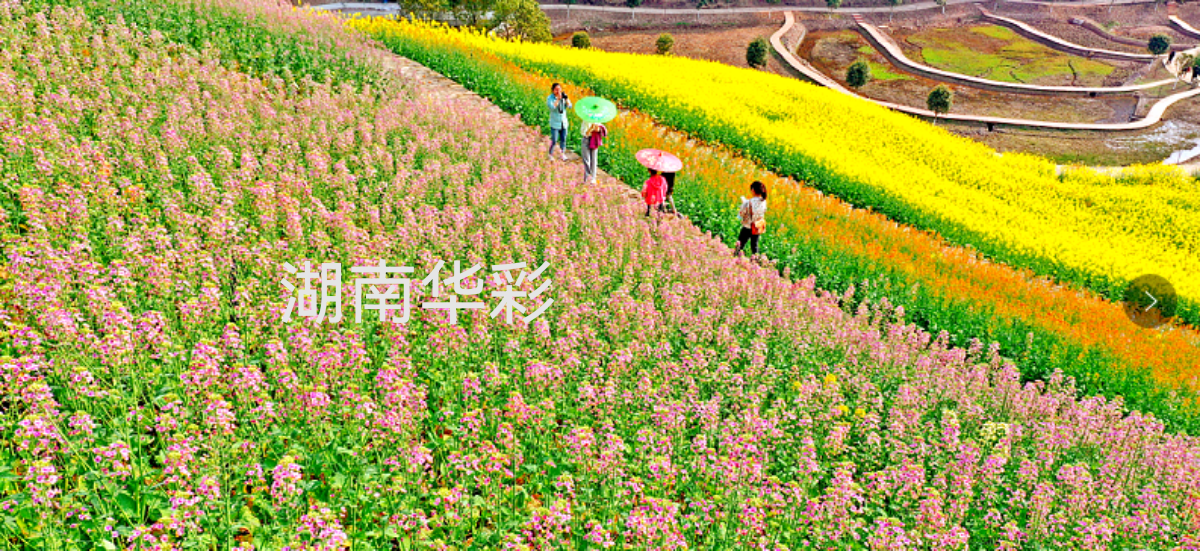 22年重慶景區