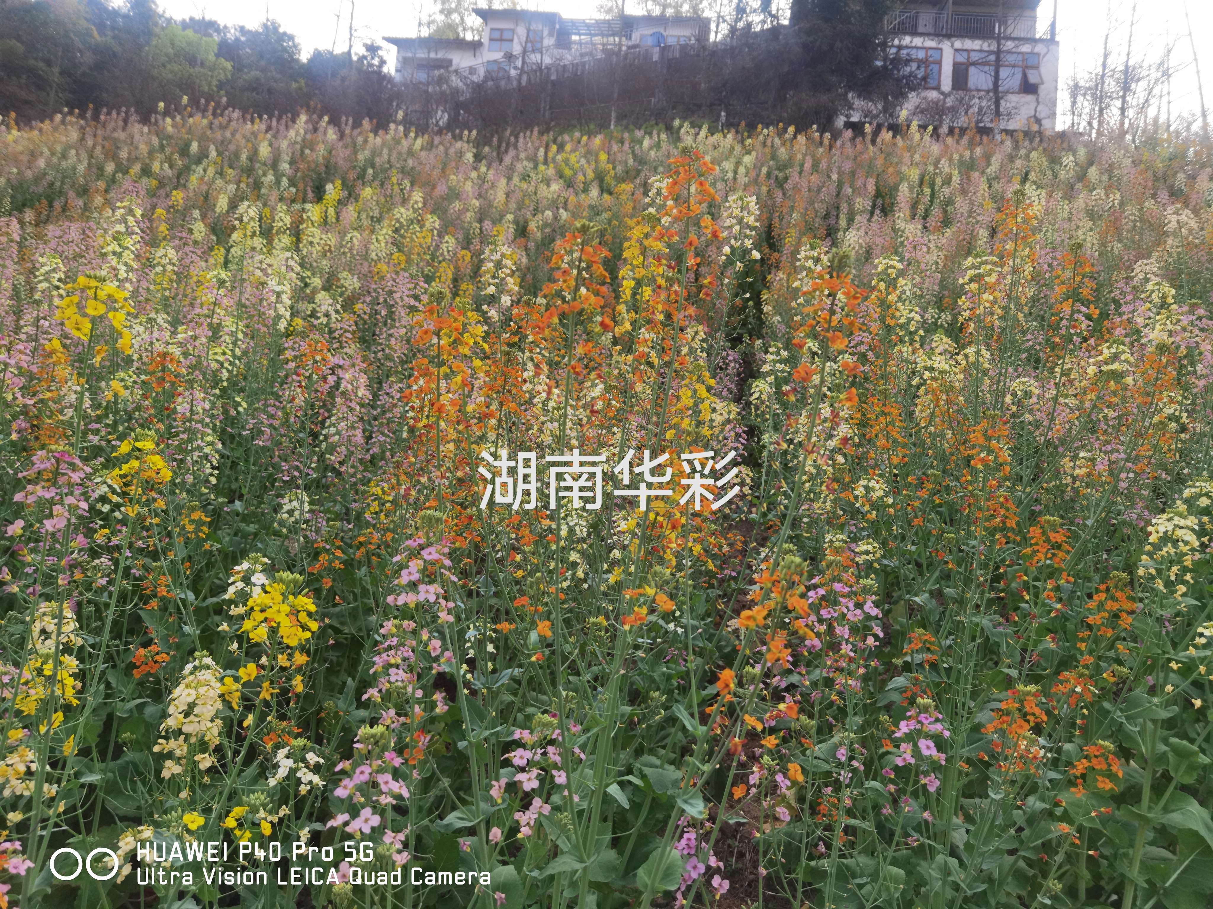 22年重慶景區