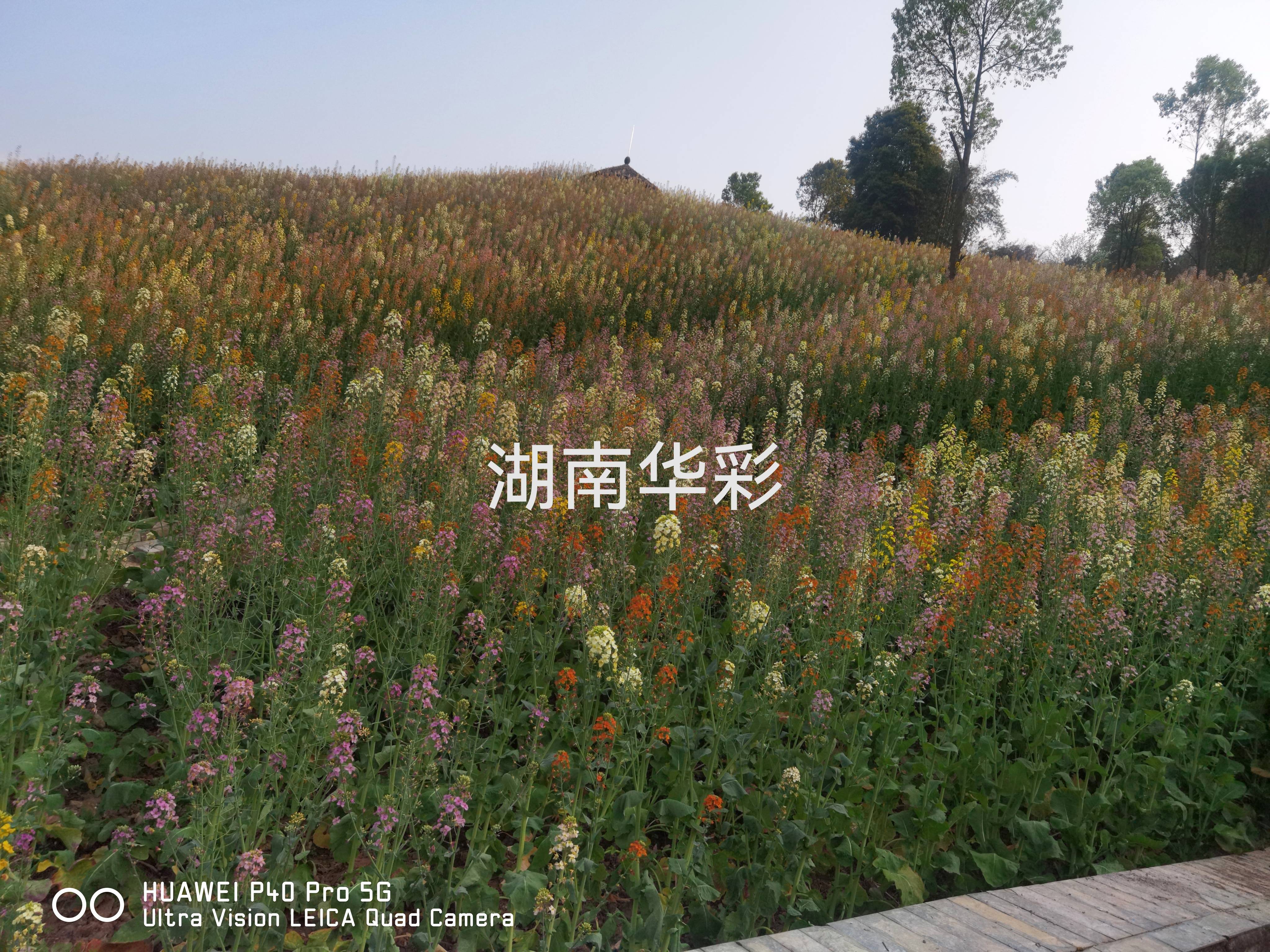 22年重慶景區(qū) 22年重慶景區(qū)