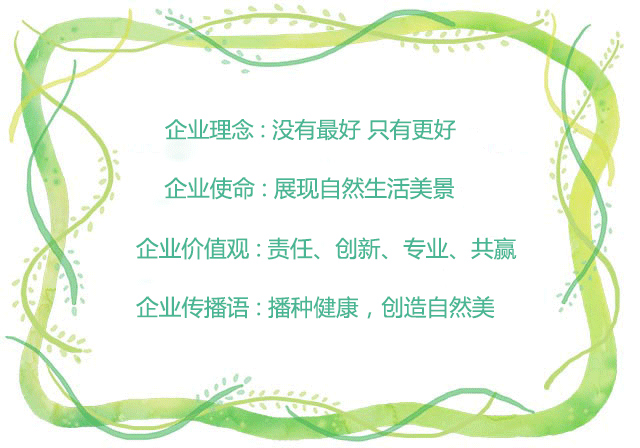 彩色油菜花的研究與開發推廣