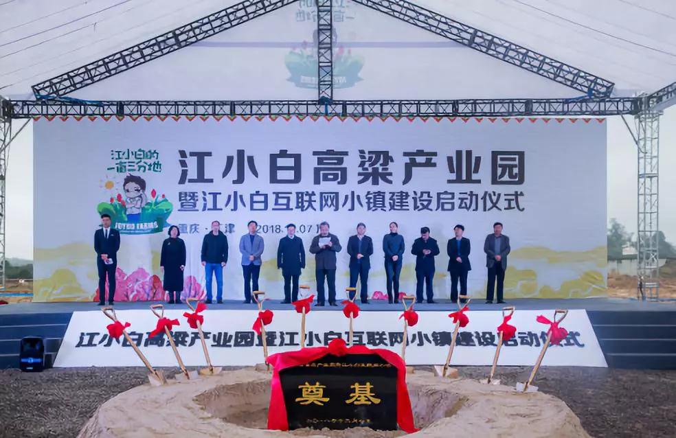 彩色油菜花的研究與開發推廣 彩色油菜花的研究與開發推廣