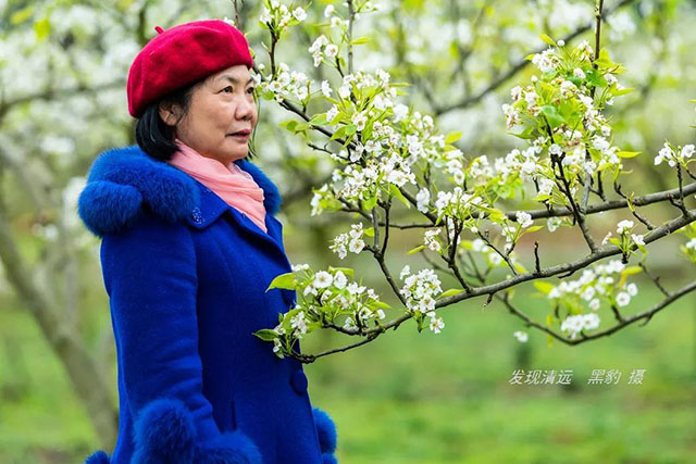 彩色油菜花的研究與開發推廣 彩色油菜花的研究與開發推廣